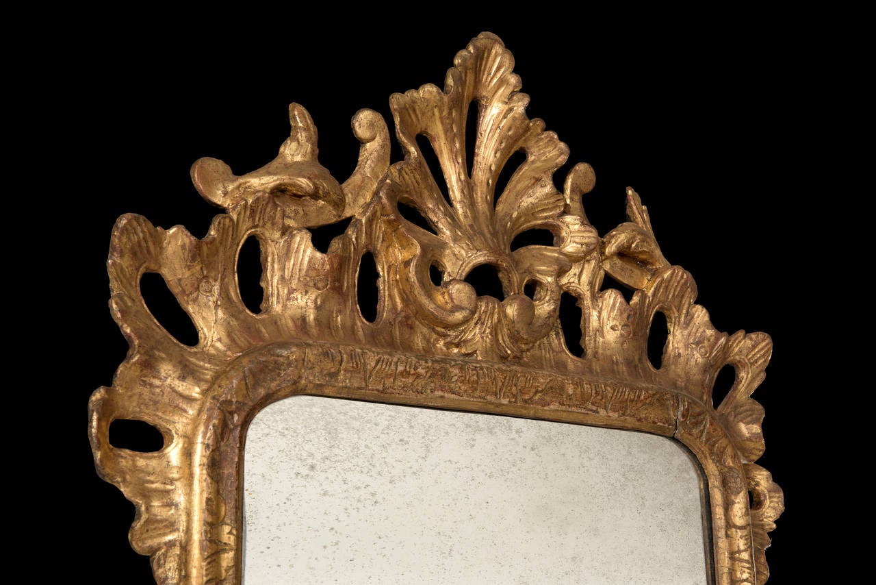 English Small George II Period Carved Giltwood Mirror