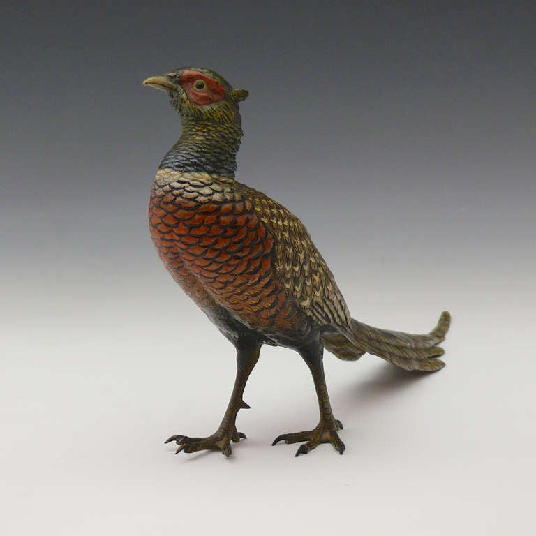 Turn of the Century Bergmann Cold Painted Bronze Pheasant In Excellent Condition In London, GB