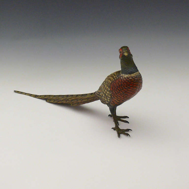 A majestic cold painted bronze cock pheasant cast by Bergmann of Austria. The Bergmann foundry produced some of the finest bronzes around the turn of the century.

Dimensions: 33 cm (width) x 20 cm (height)