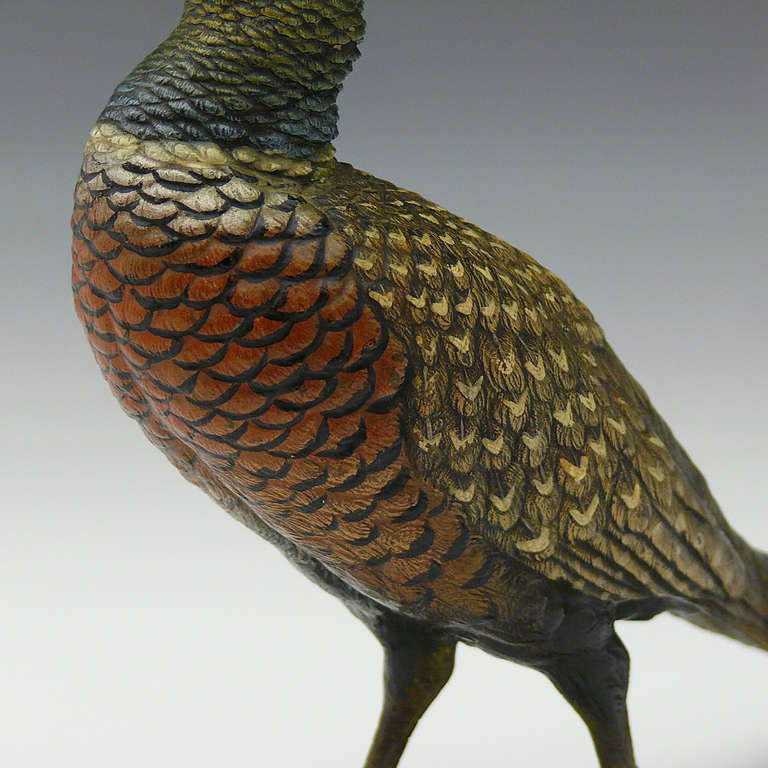 Turn of the Century Bergmann Cold Painted Bronze Pheasant 1