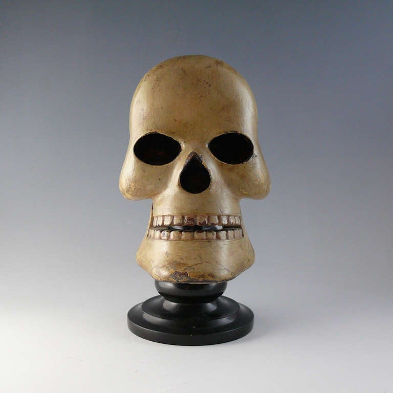 Victorian Momento Mori Skull on Marble Base
