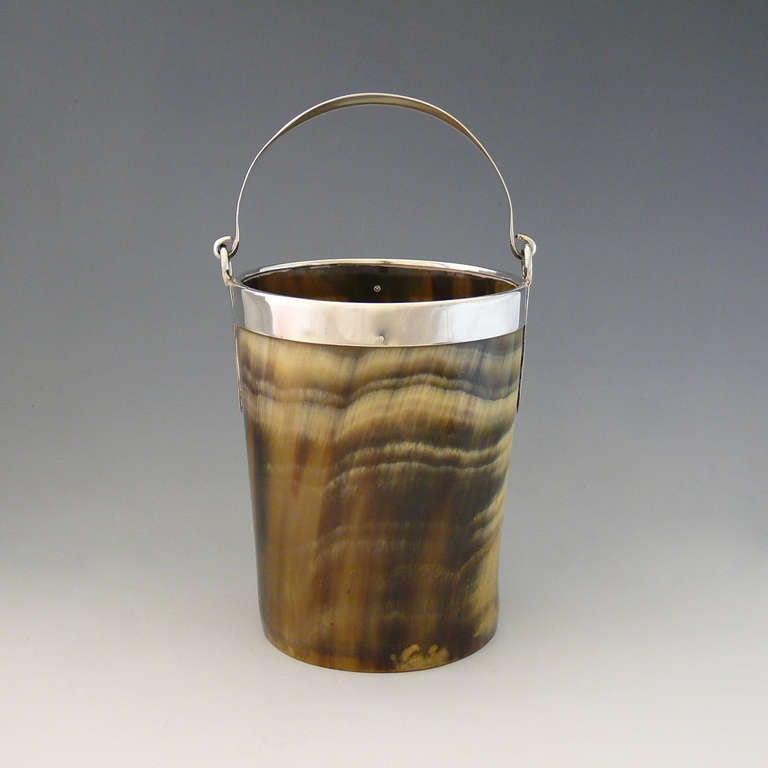 Horn and Silver Ice Bucket 1
