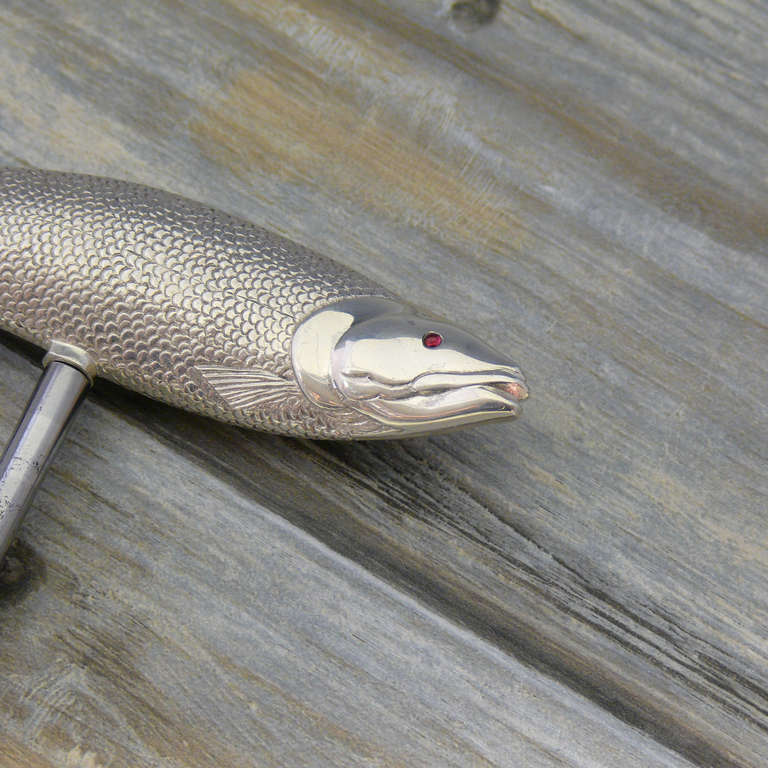 Superb Silver Salmon Corkscrew Circa 1896 2