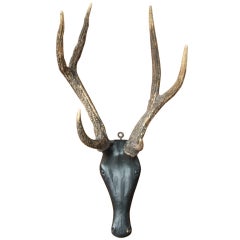 Antique Carved Deer Head & Antlers