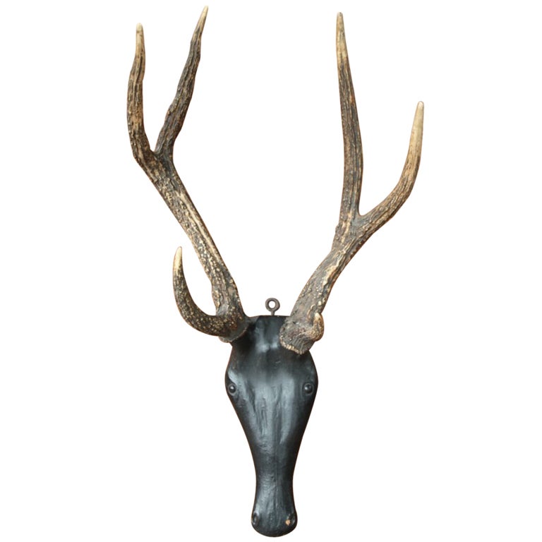 Antique Carved Deer Head and Antlers at 1stdibs