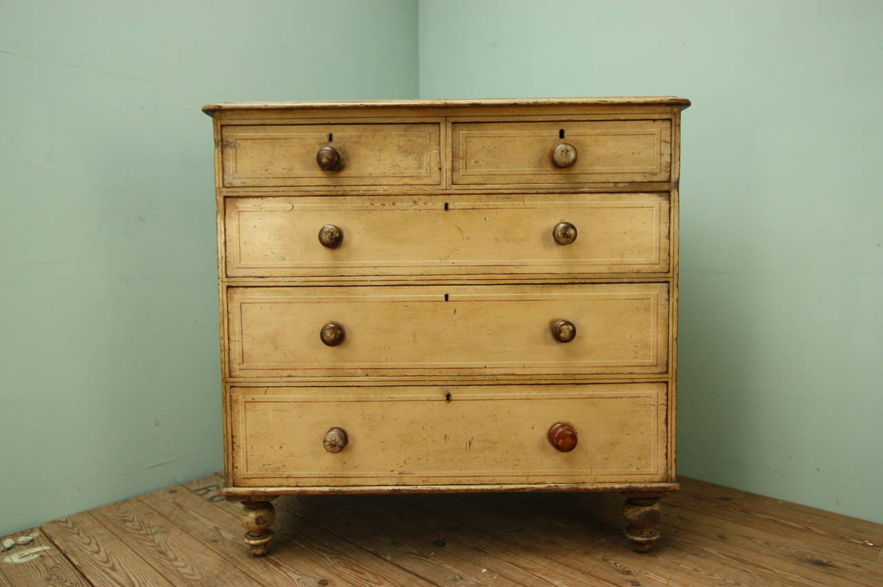 William IV Antique Pine Chest in Original Paint