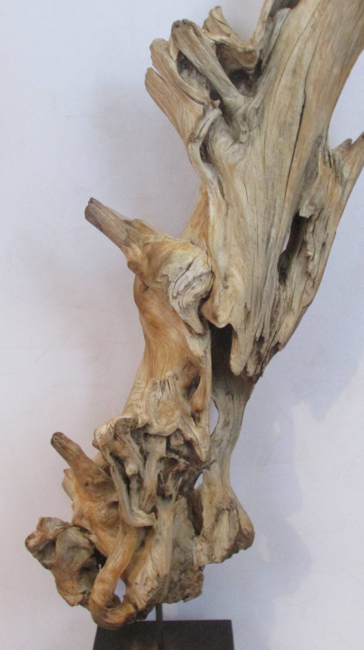 Other Large American Natural Driftwood Sculpture