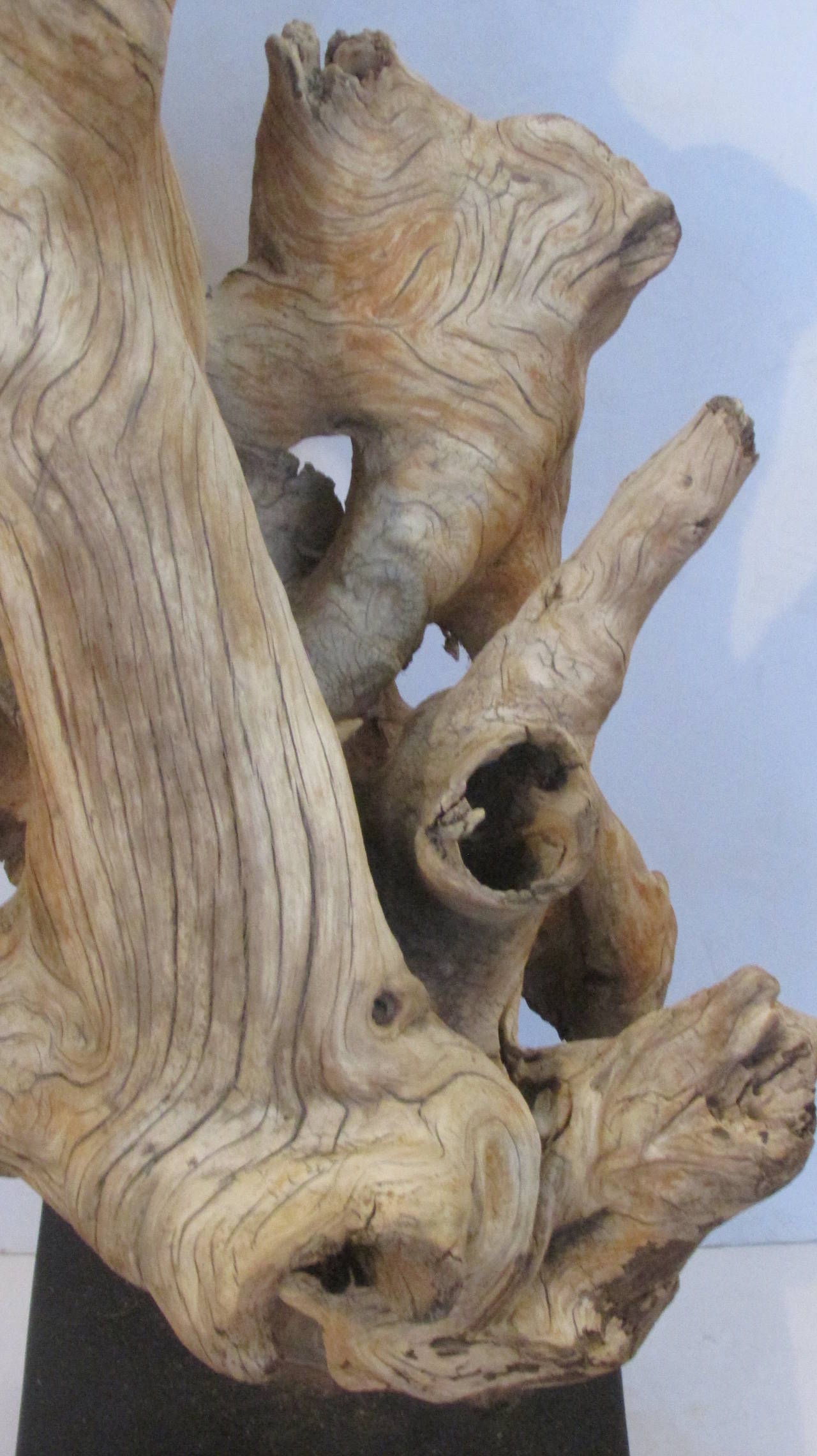 large driftwood sculpture