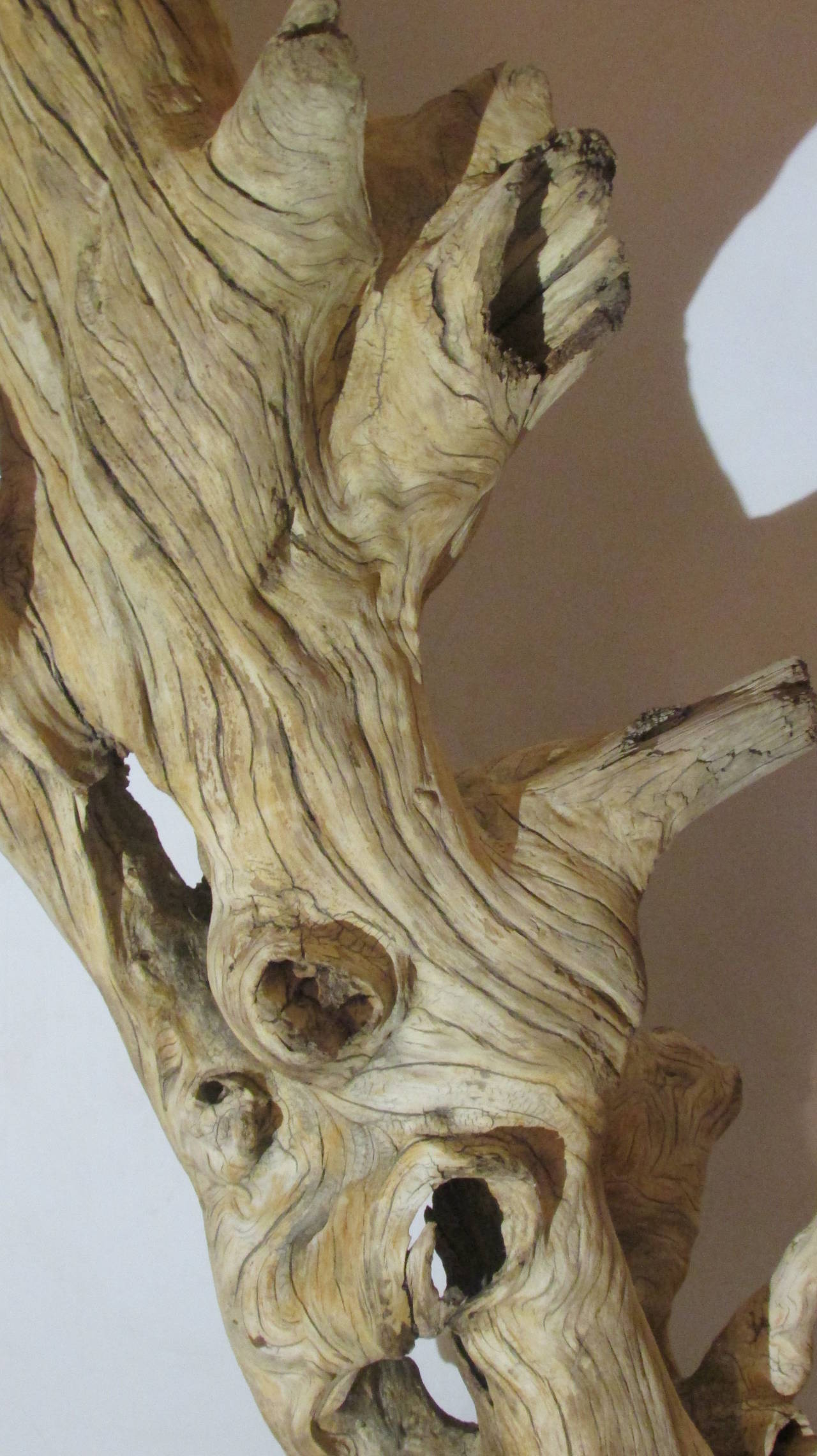 19th Century Large American Natural Driftwood Sculpture