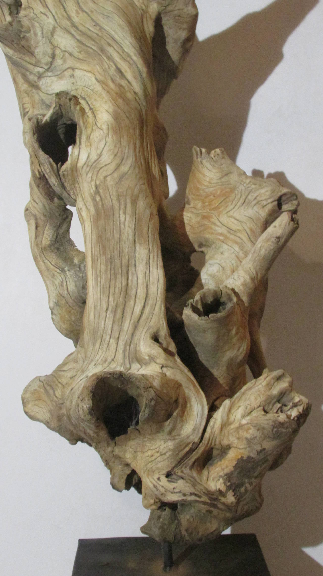 Large American Natural Driftwood Sculpture 1