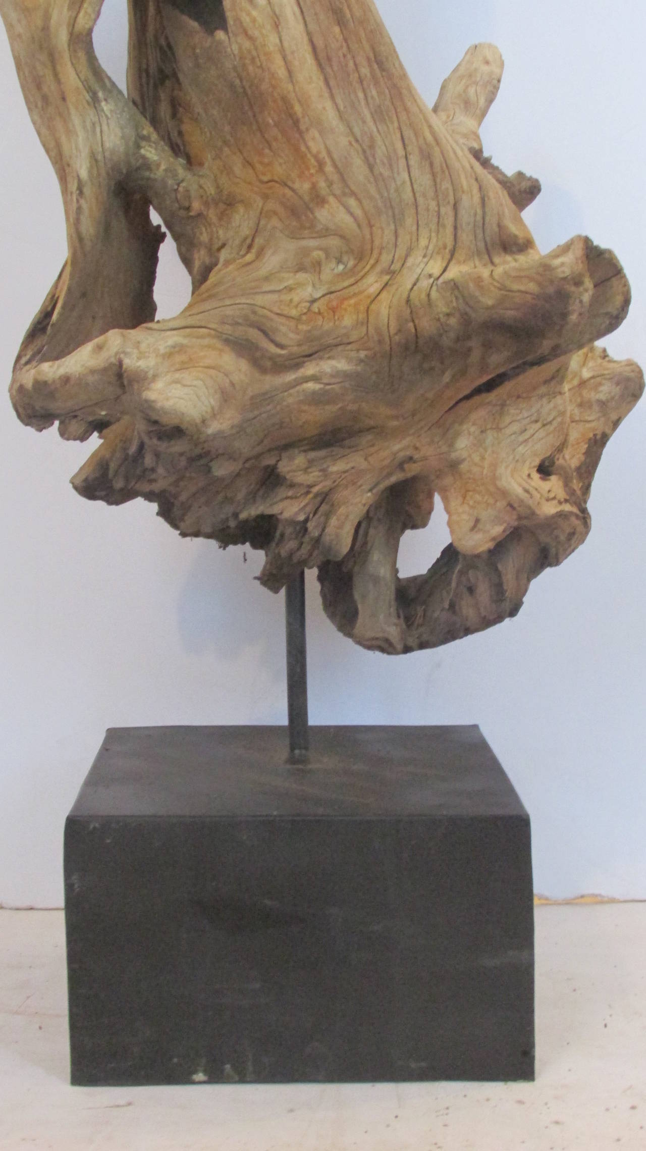 Organic Modern Large American Natural Driftwood Sculpture