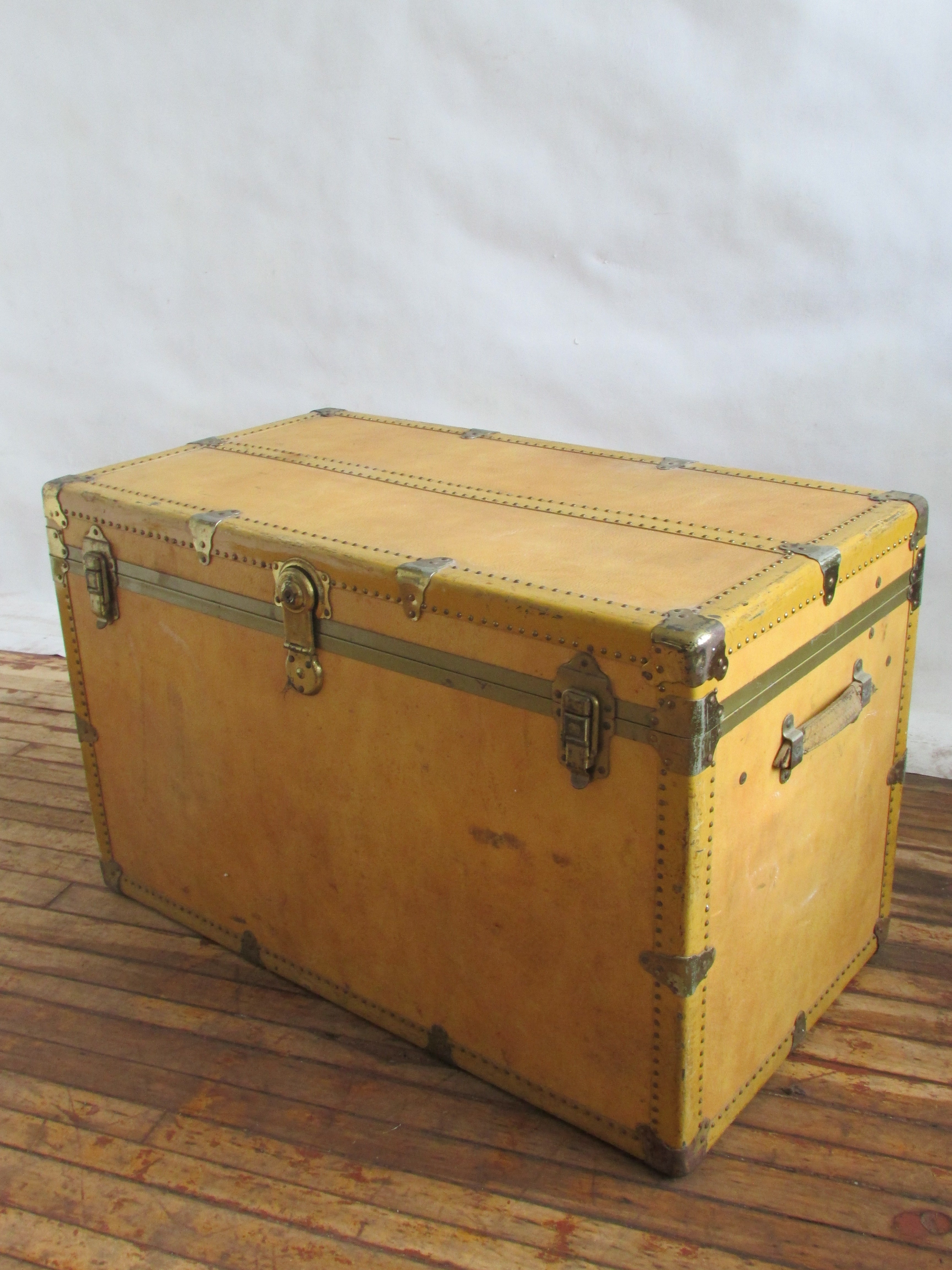 Faux Vellum Leather Steamer Travel Trunk