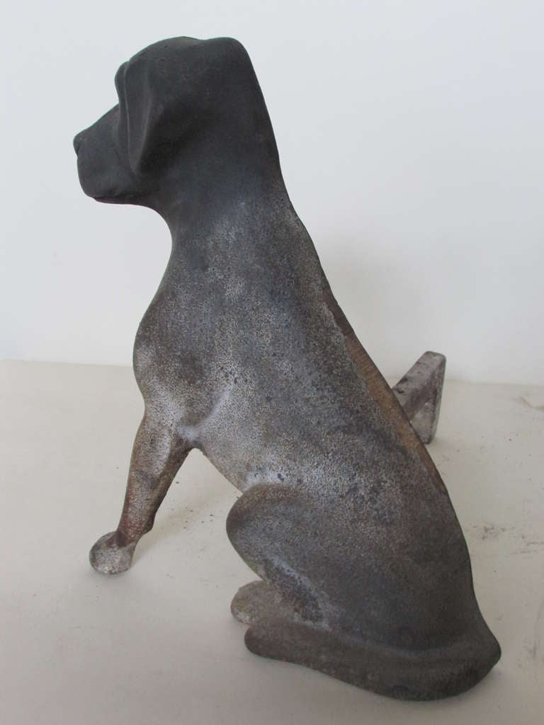 Antique American Cast Iron Labrador Retriever Pup Andirons 4