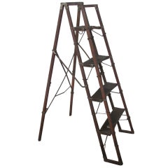 Antique Metamorphic Ladder