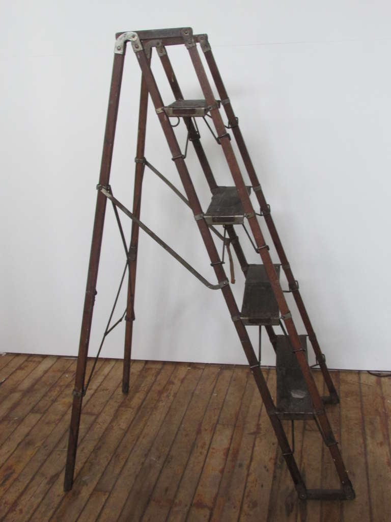 American Metamorphic Ladder