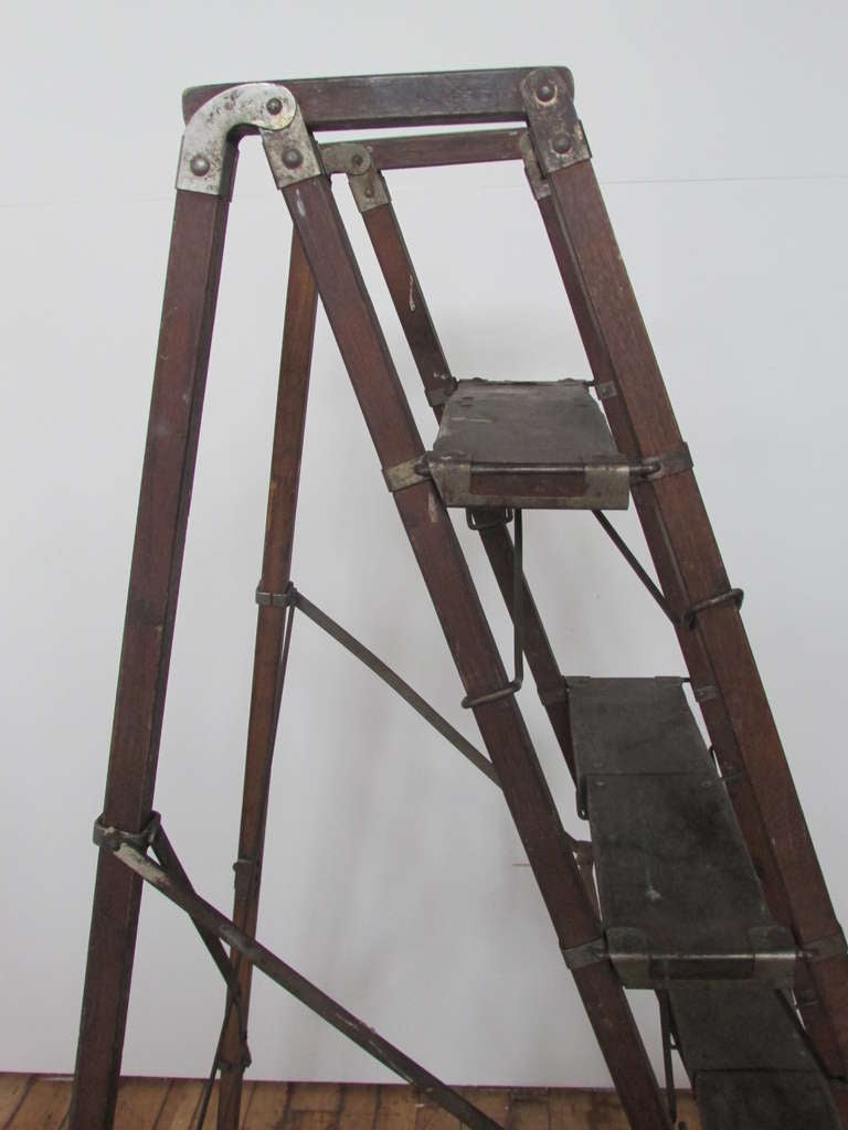 Metamorphic Ladder 1