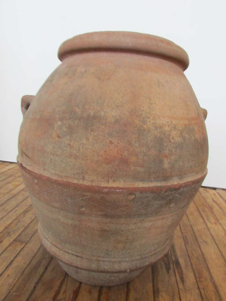19th Century Italian Terracotta Olive Oil Jar 1