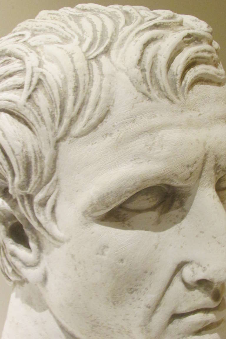 Plaster Sculpture Bust of a Classical Roman 3