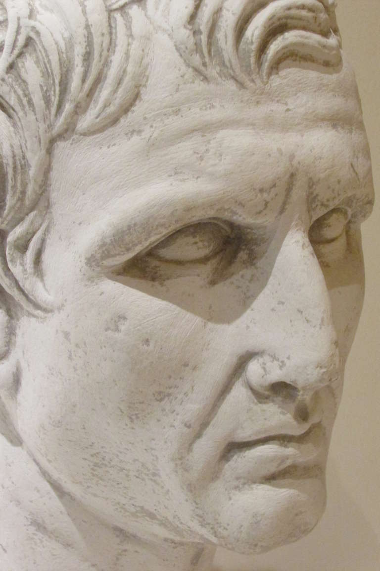 Plaster Sculpture Bust of a Classical Roman 1
