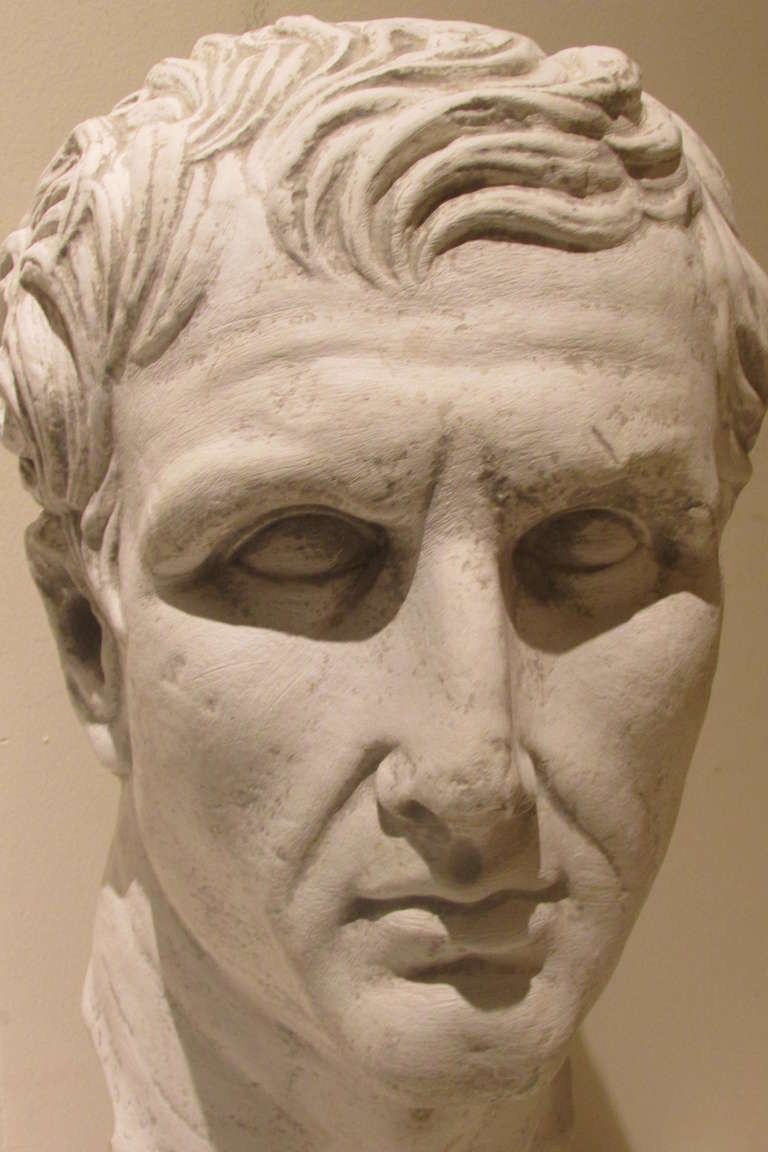 Plaster Sculpture Bust of a Classical Roman 2