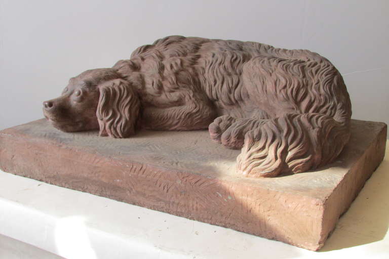 A life size solid terracotta recumbent spaniel dog with exceptionally cast & finely sculpted details. Beautifully aged surface color and expressive true to life character. For garden or interior.