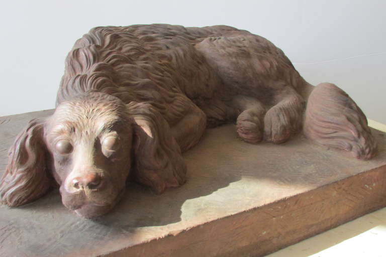 Life Size Terracotta Spaniel 4