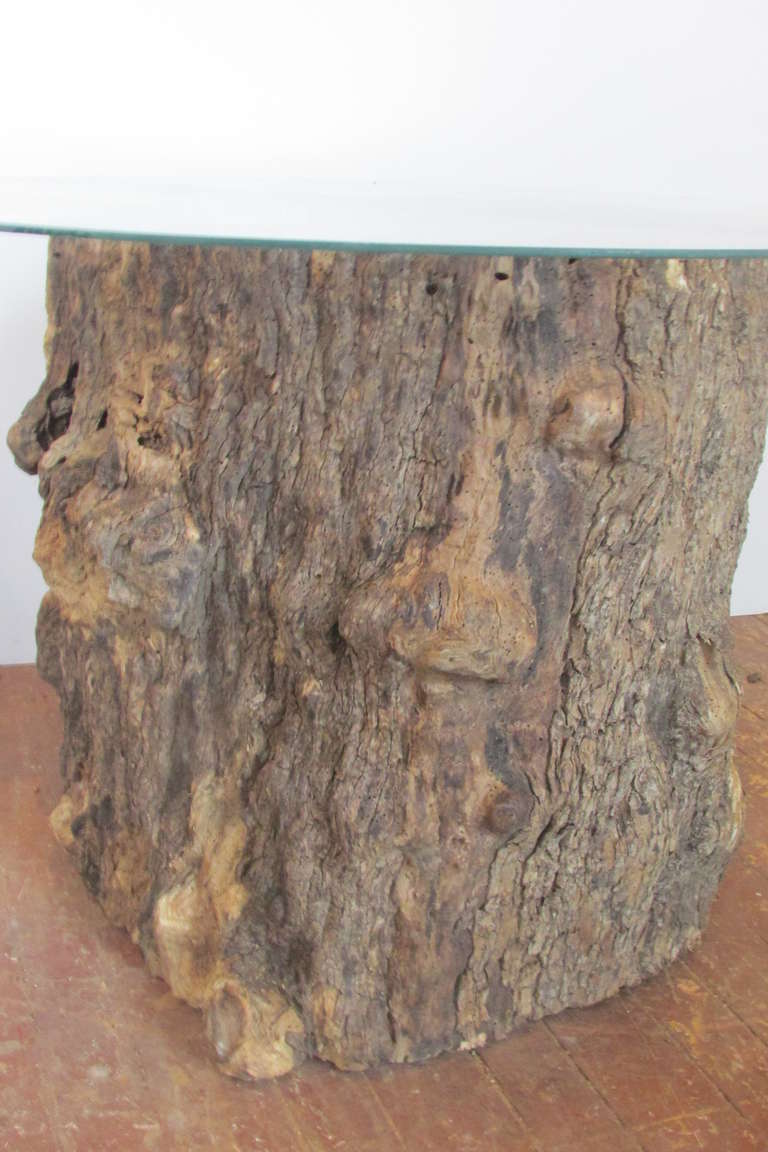 American Burl Tree Trunk Table Bases