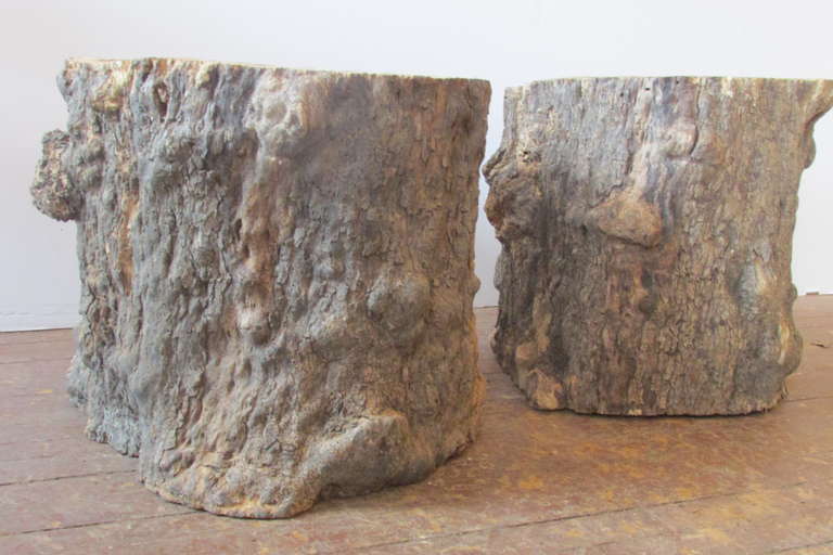 Two American Black Walnut tree trunk table bases with large knobby burl formations. The naturally aged very old  mature trees were cut and hollowed out with both ends open approximately 40 years ago. They are dense and heavy with the irregular