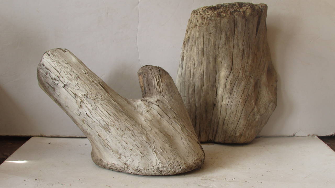 Two large scale driftwood fragments naturally aged over many years of exposure to the sun and waters of Lake Erie with the most beautiful crusted bone like surface color and as found sculptural quality.