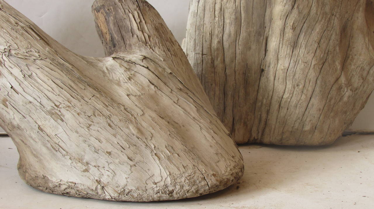 Ancient Large Natural Driftwood as Found Sculpture 1
