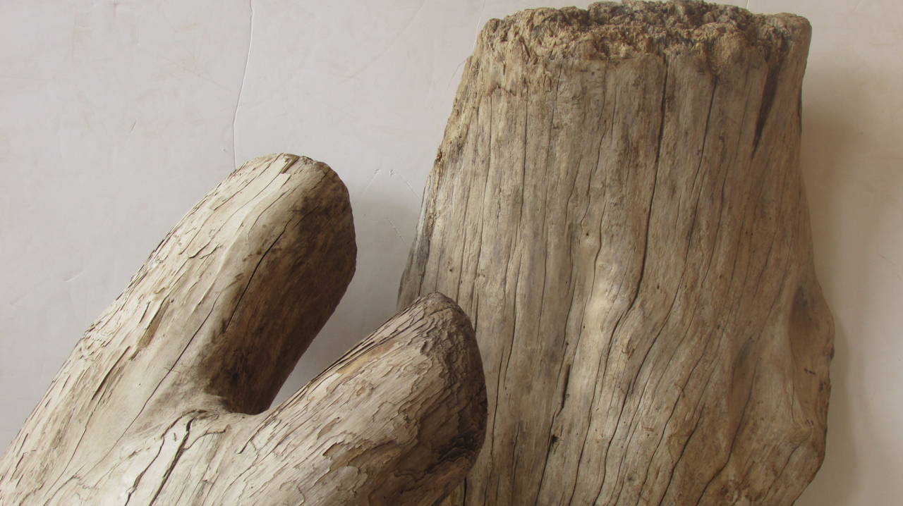 Ancient Large Natural Driftwood as Found Sculpture In Excellent Condition In Rochester, NY