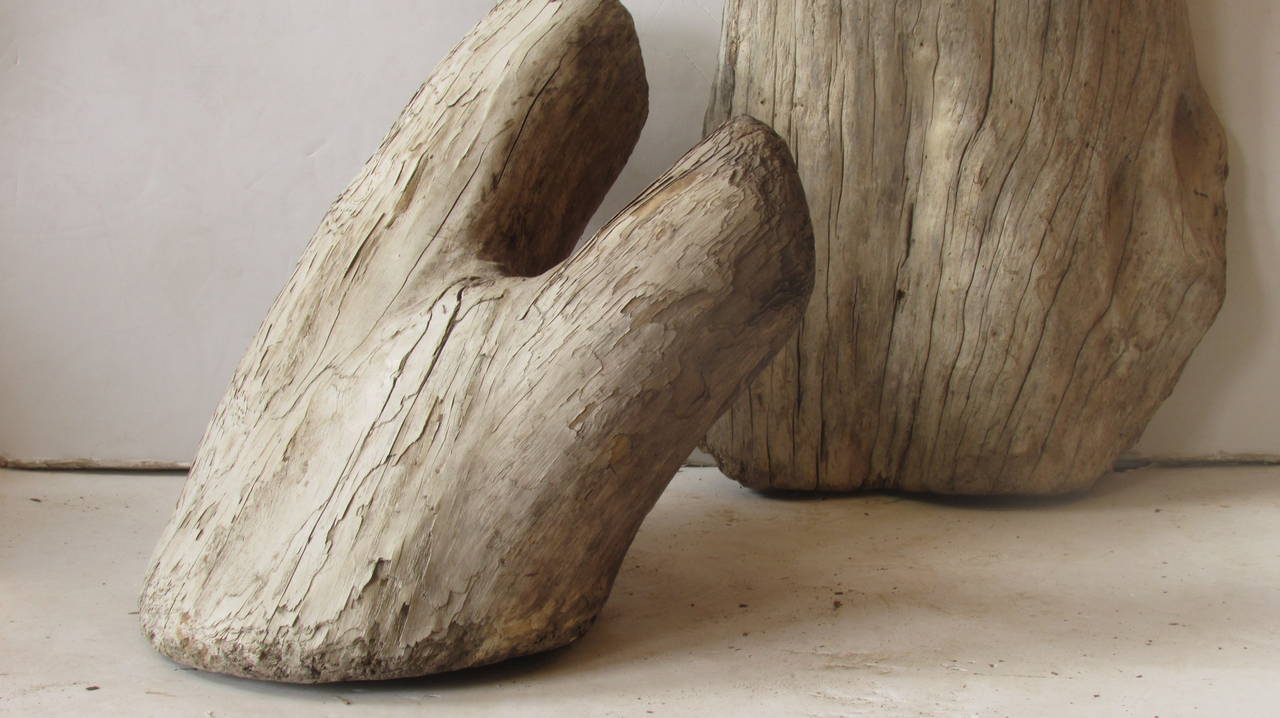 Ancient Large Natural Driftwood as Found Sculpture 2