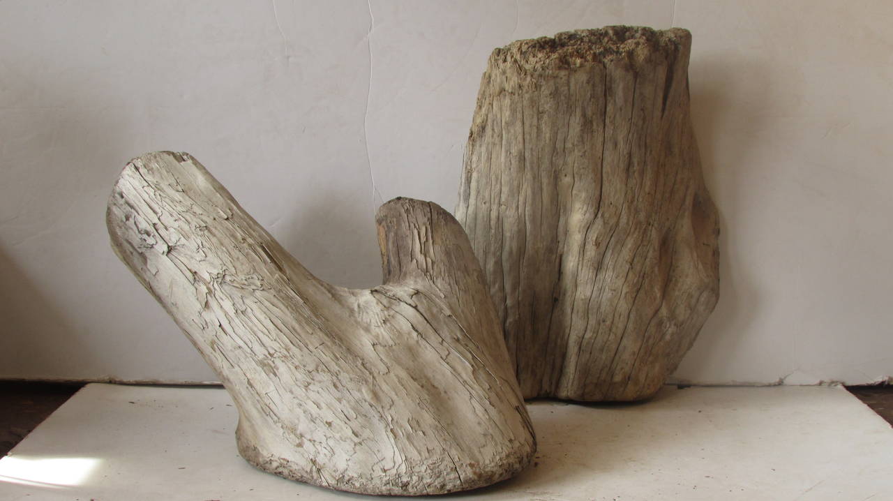 Ancient Large Natural Driftwood as Found Sculpture 4