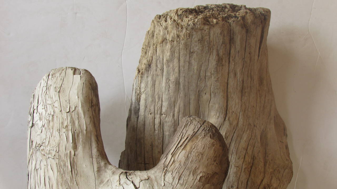 Ancient Large Natural Driftwood as Found Sculpture 3