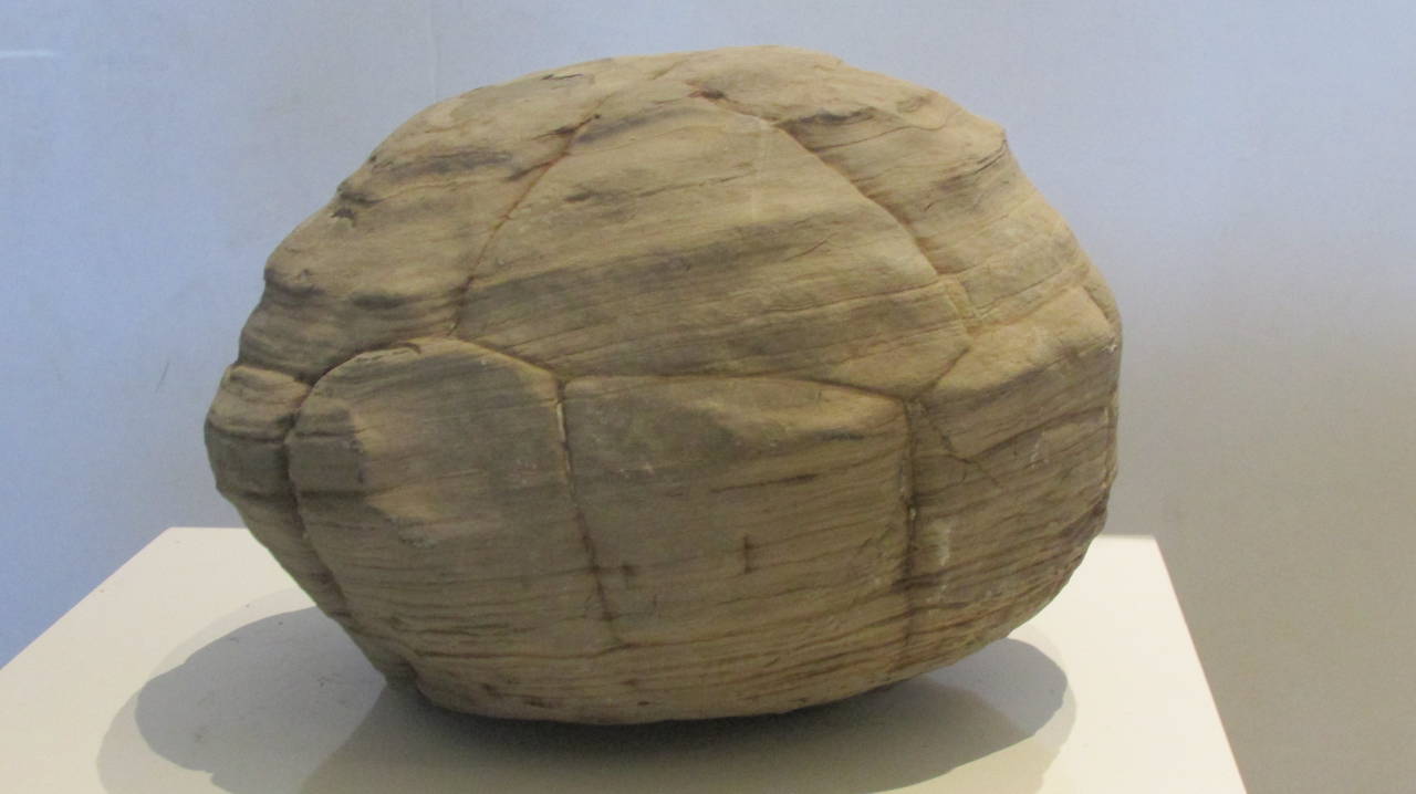 turtle-stone
