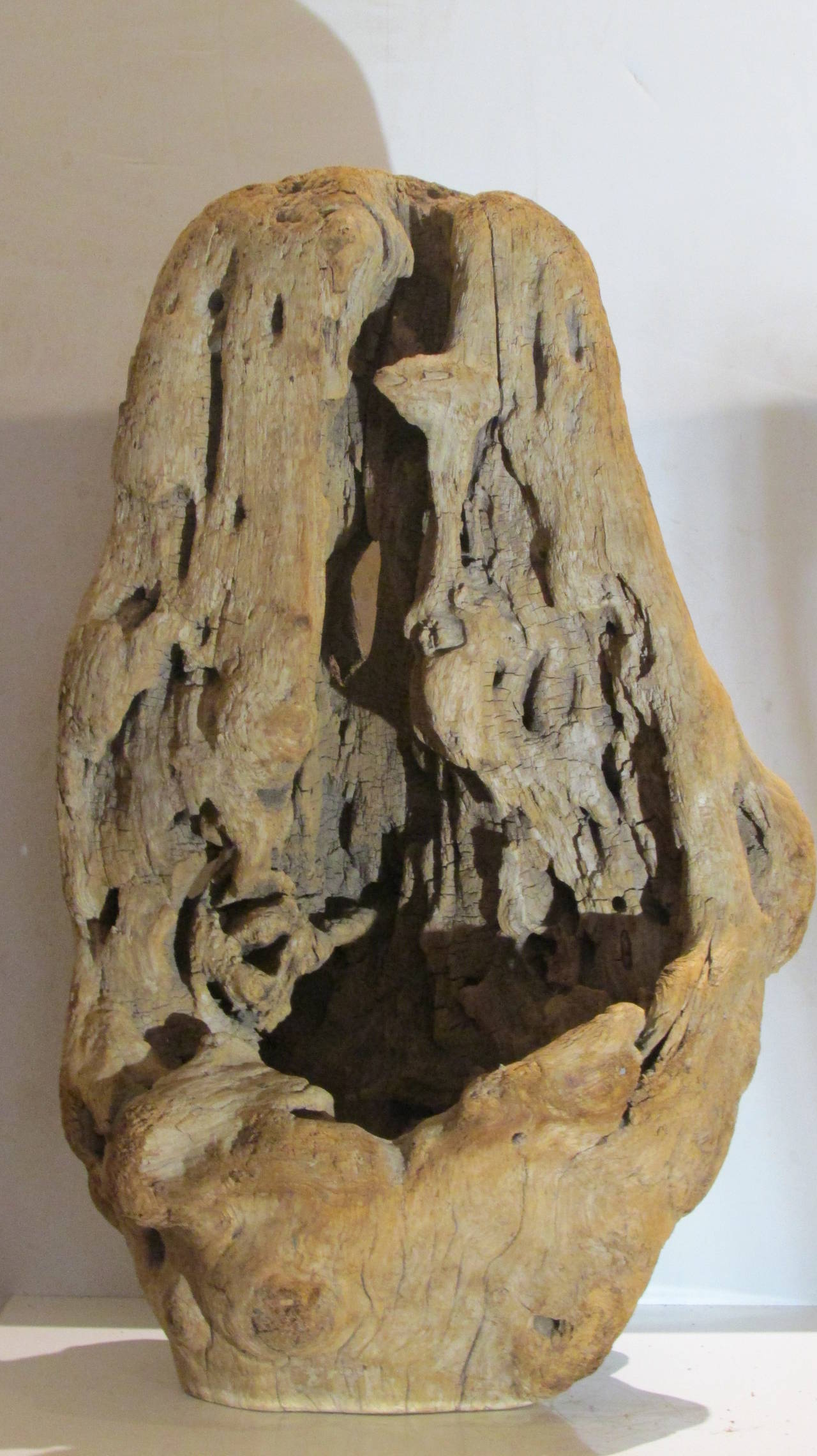 A very old piece of knobby burl driftwood with an ancient presence and perfectly aged color and surface, a beautiful as found natural sculpture object.