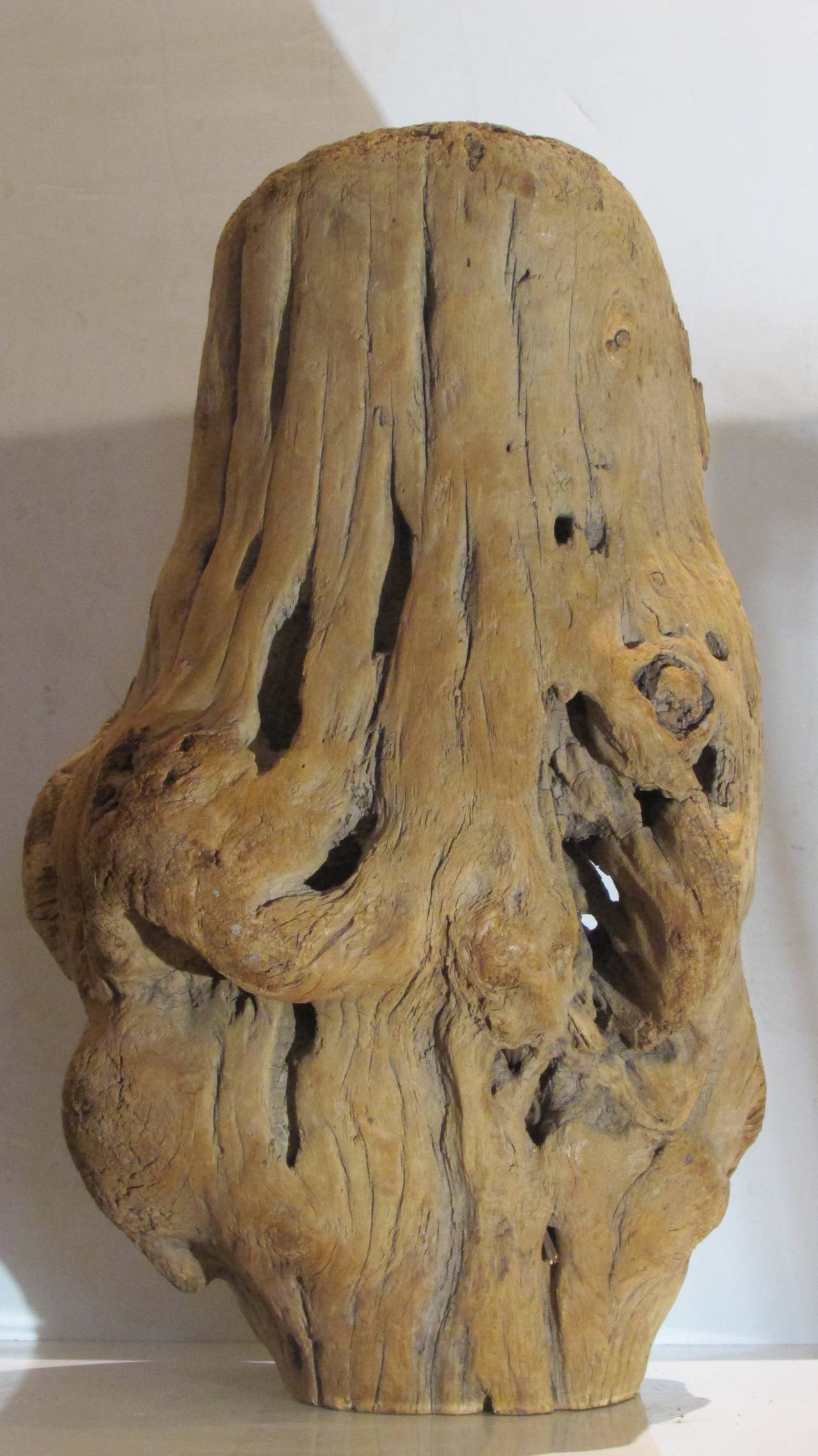 American Burl Driftwood Fragment Sculpture