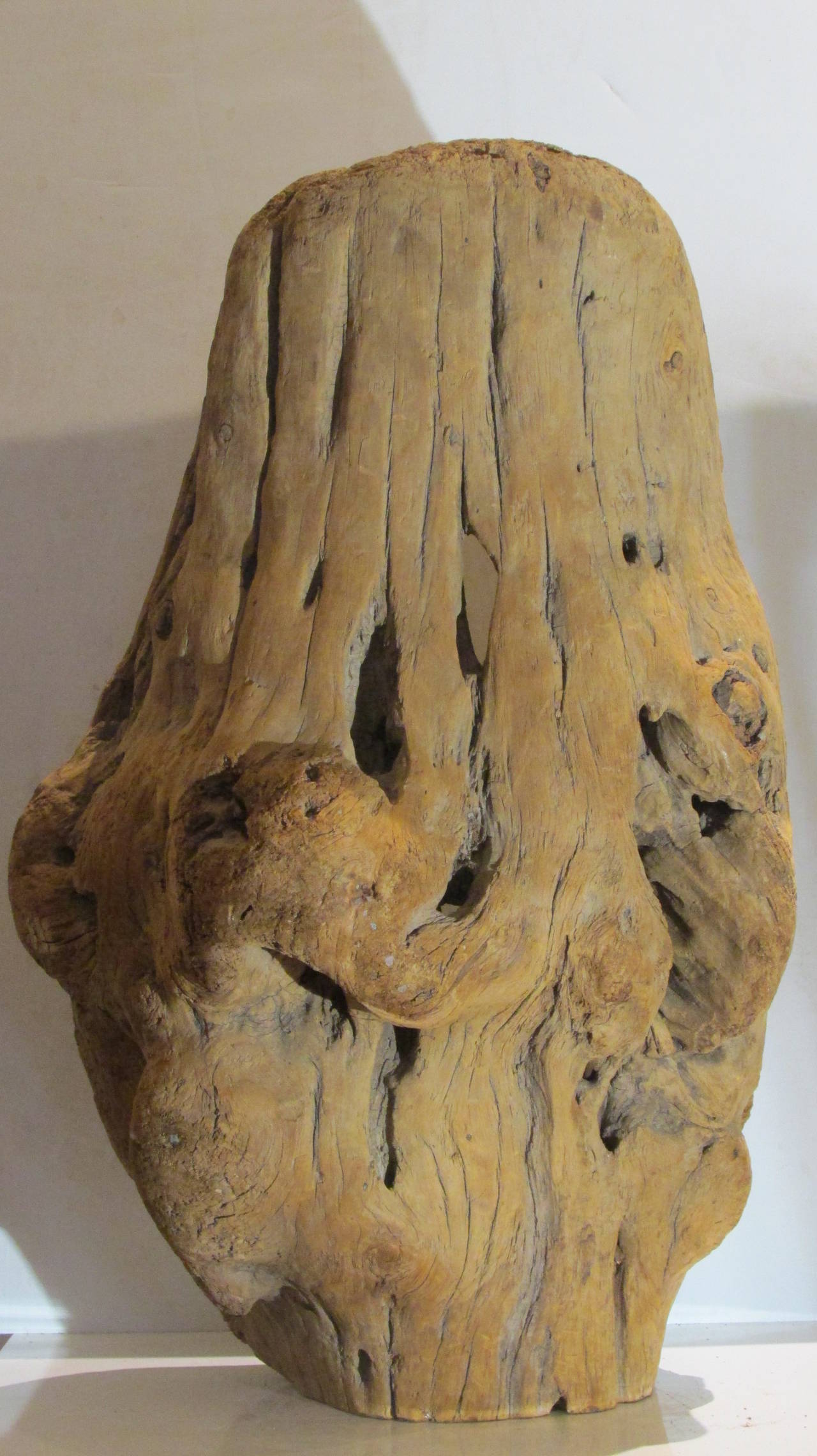 Burl Driftwood Fragment Sculpture 1