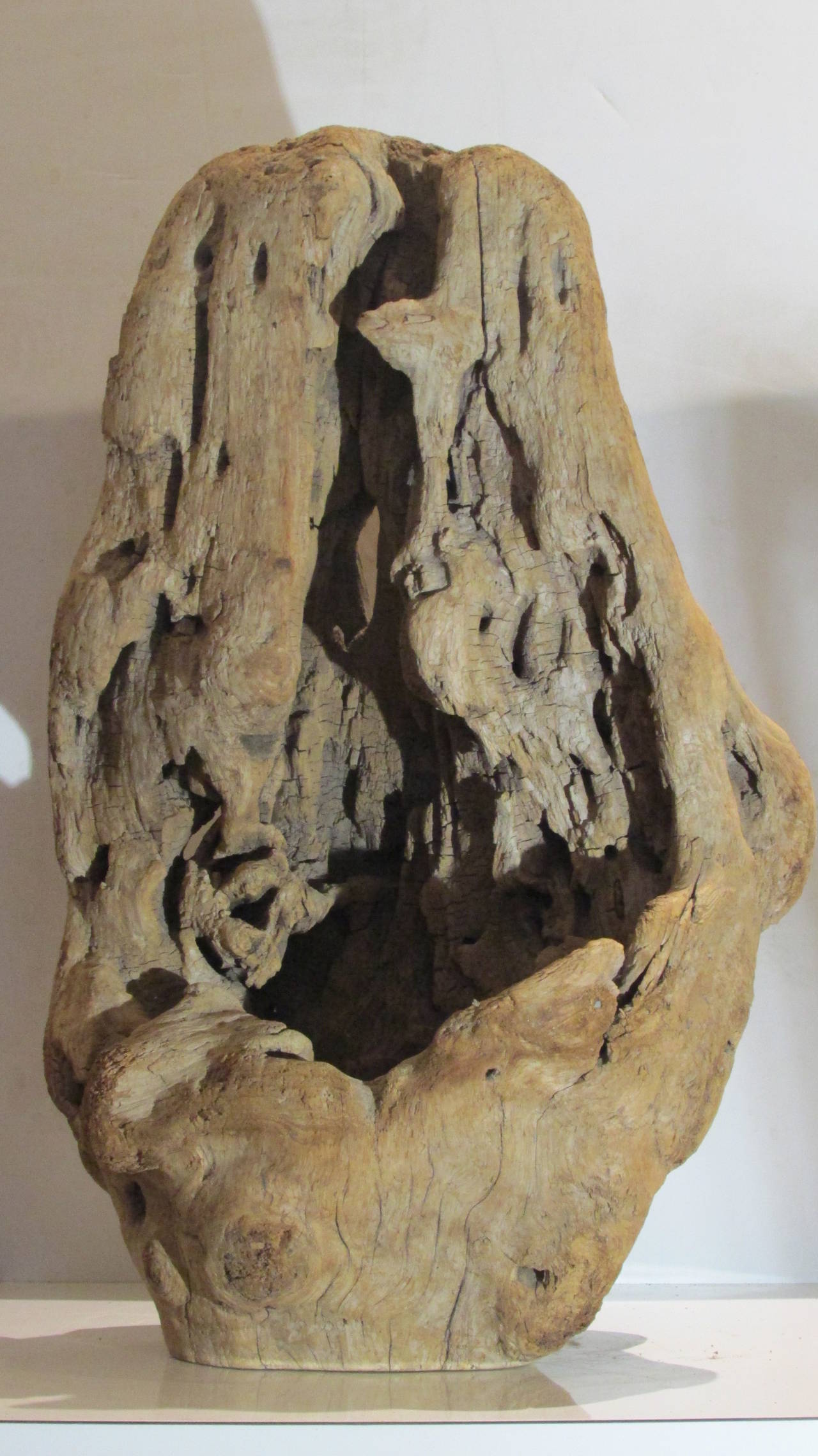 Burl Driftwood Fragment Sculpture 2