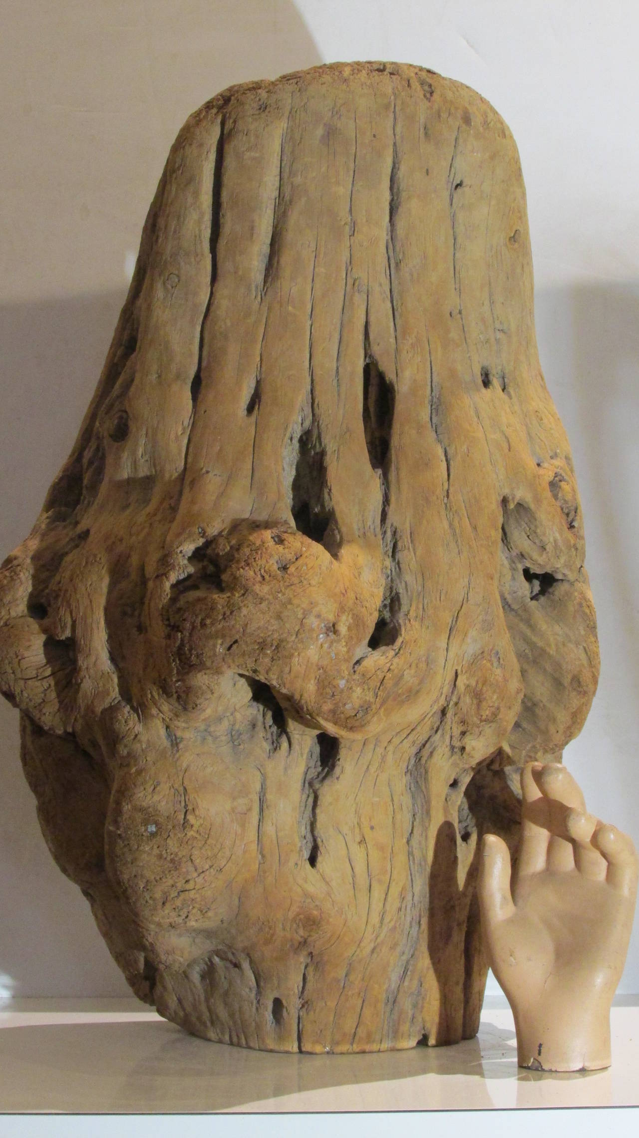 Burl Driftwood Fragment Sculpture 4