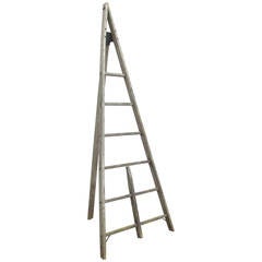 Used Peak Top American Harvest Ladder