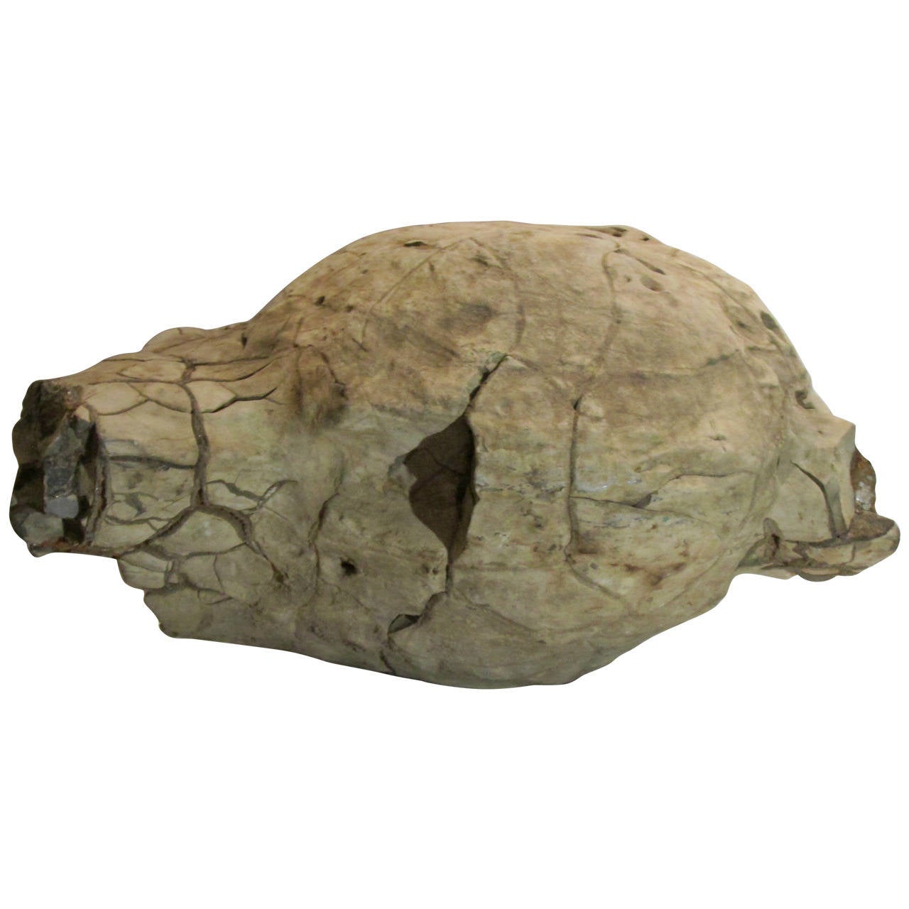 Skull Form Prehistoric Concretion Fossil For Sale at 1stdibs