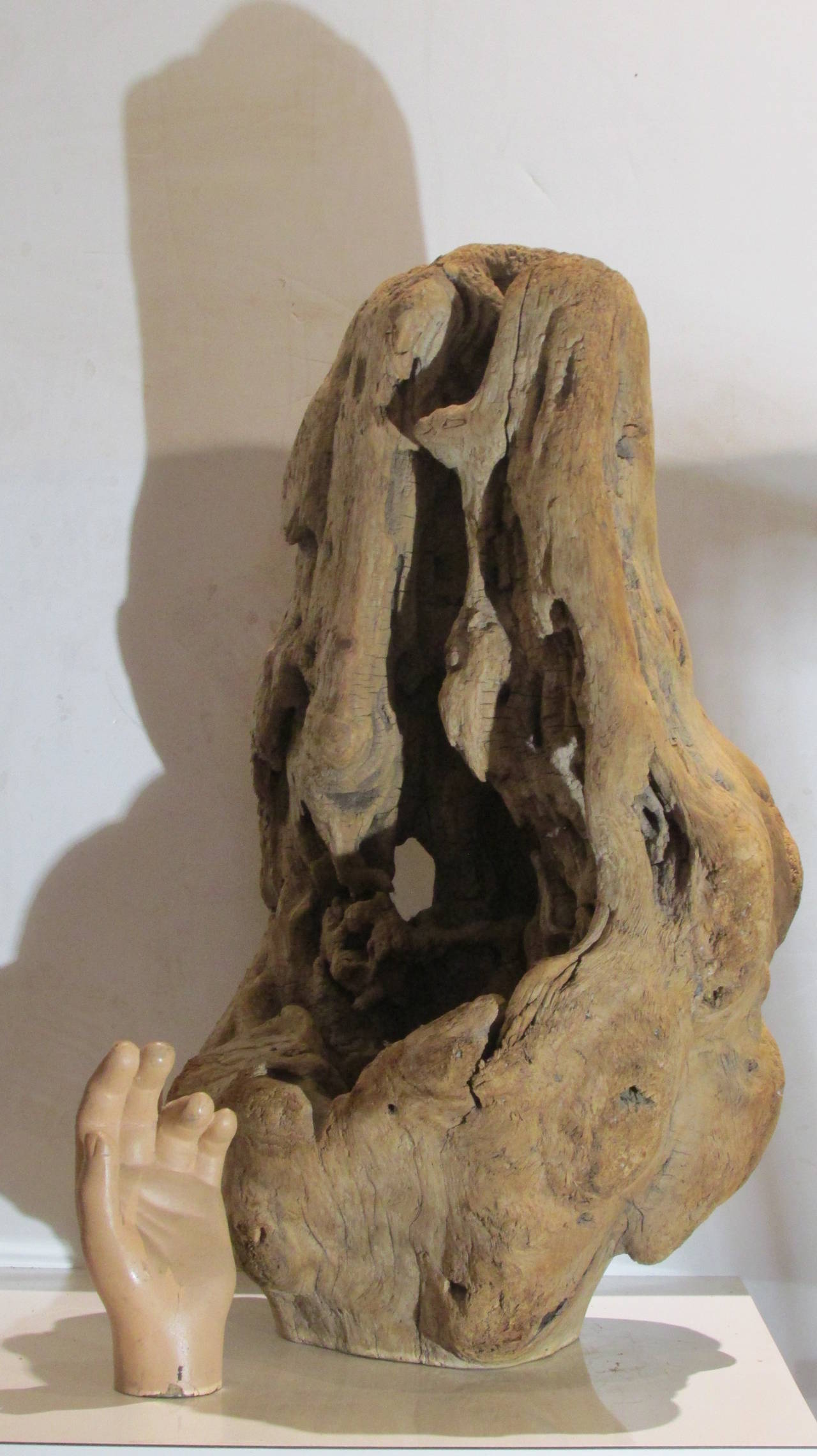 Burl Driftwood Fragment Sculpture 5