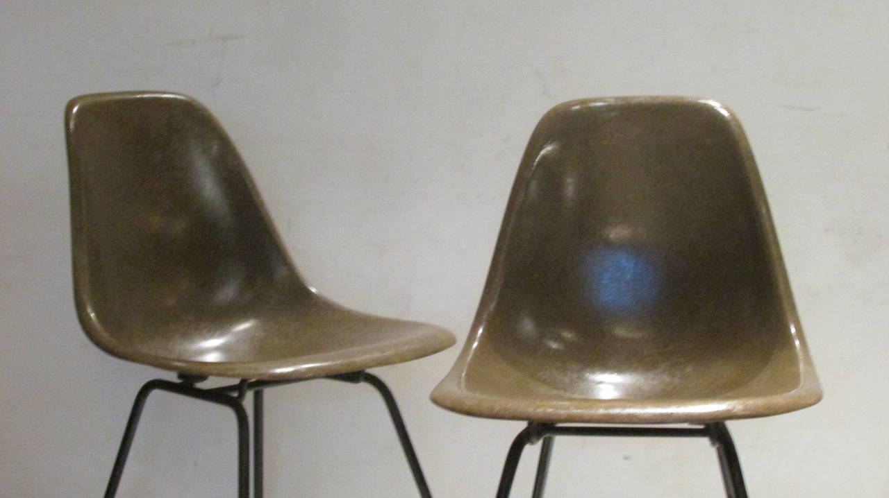 A nice pair of early original Charles and Ray Eames seal brown fiberglass side chairs for Herman Miller circa 1950's - 1960