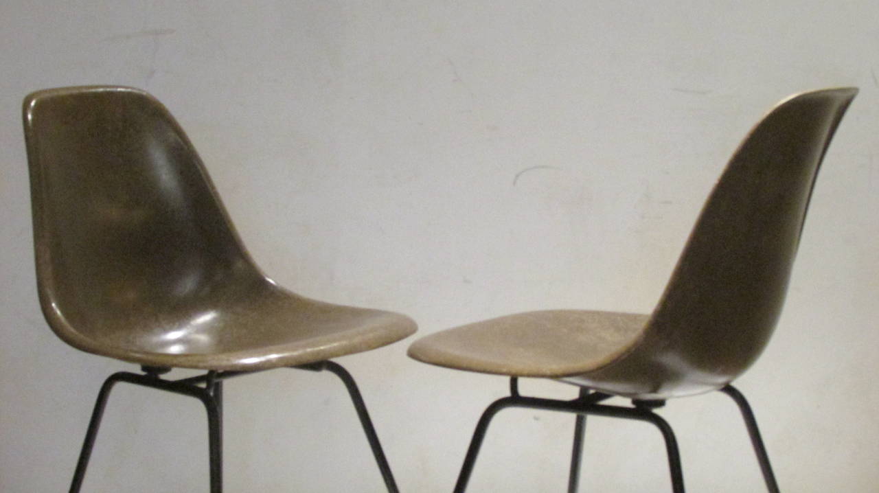 American Early Eames for Herman Miller Seal Brown Fiberglass Chairs