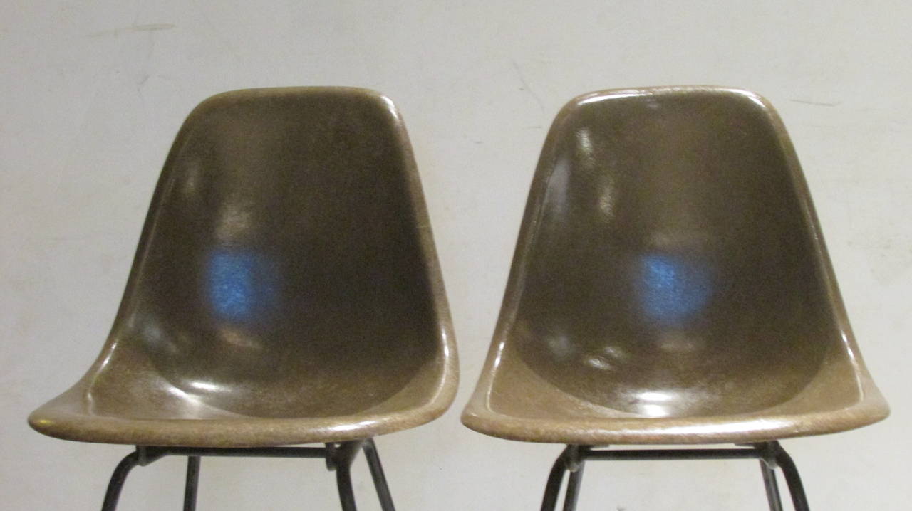 Mid-Century Modern Early Eames for Herman Miller Seal Brown Fiberglass Chairs