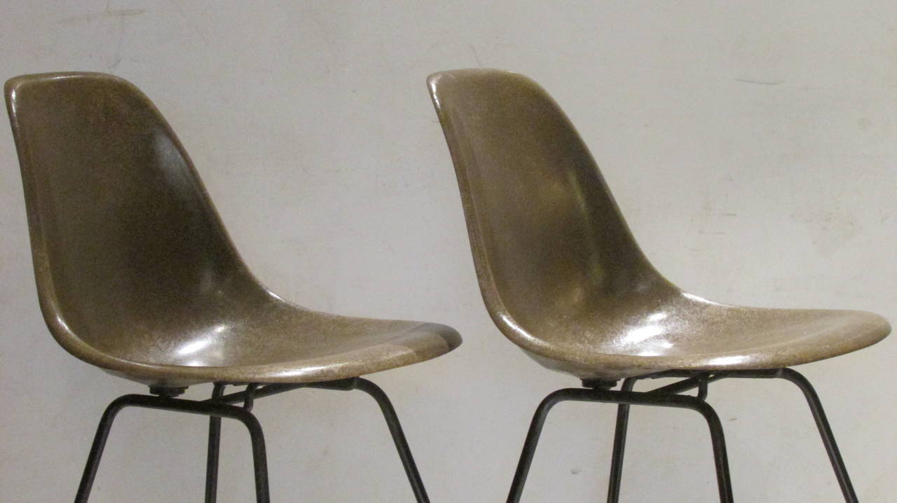 Cast Early Eames for Herman Miller Seal Brown Fiberglass Chairs