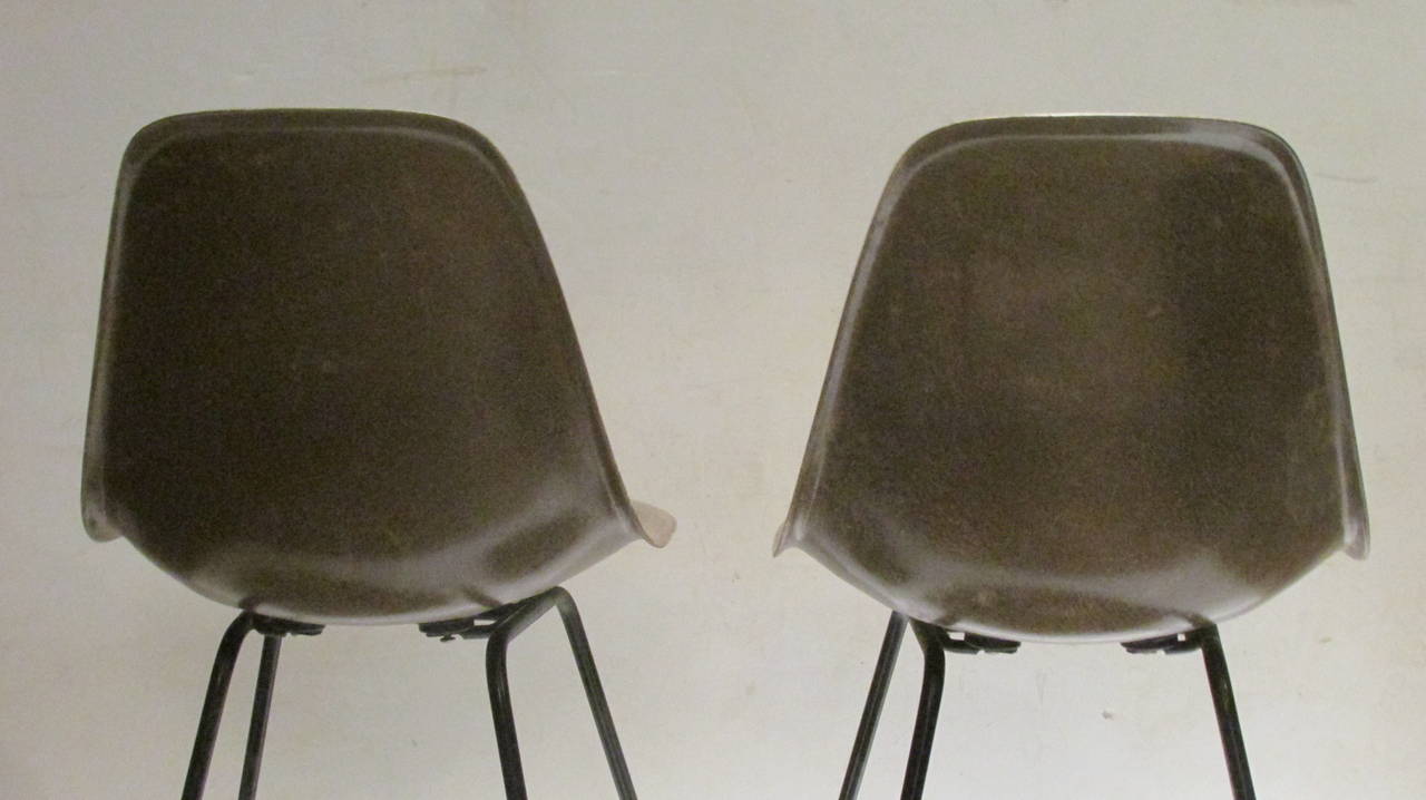 20th Century Early Eames for Herman Miller Seal Brown Fiberglass Chairs