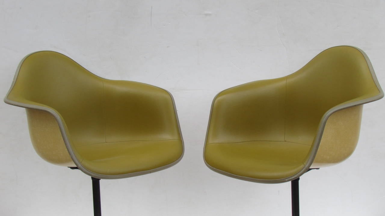 A pair of Charles and Ray Eames for Herman Miller bucket swivel chairs in the very hard to find original Alexander Girard designed olive chartreuse stitched Naugahyde fabric over the yellow ochre fiberglass shells, circa 1970.