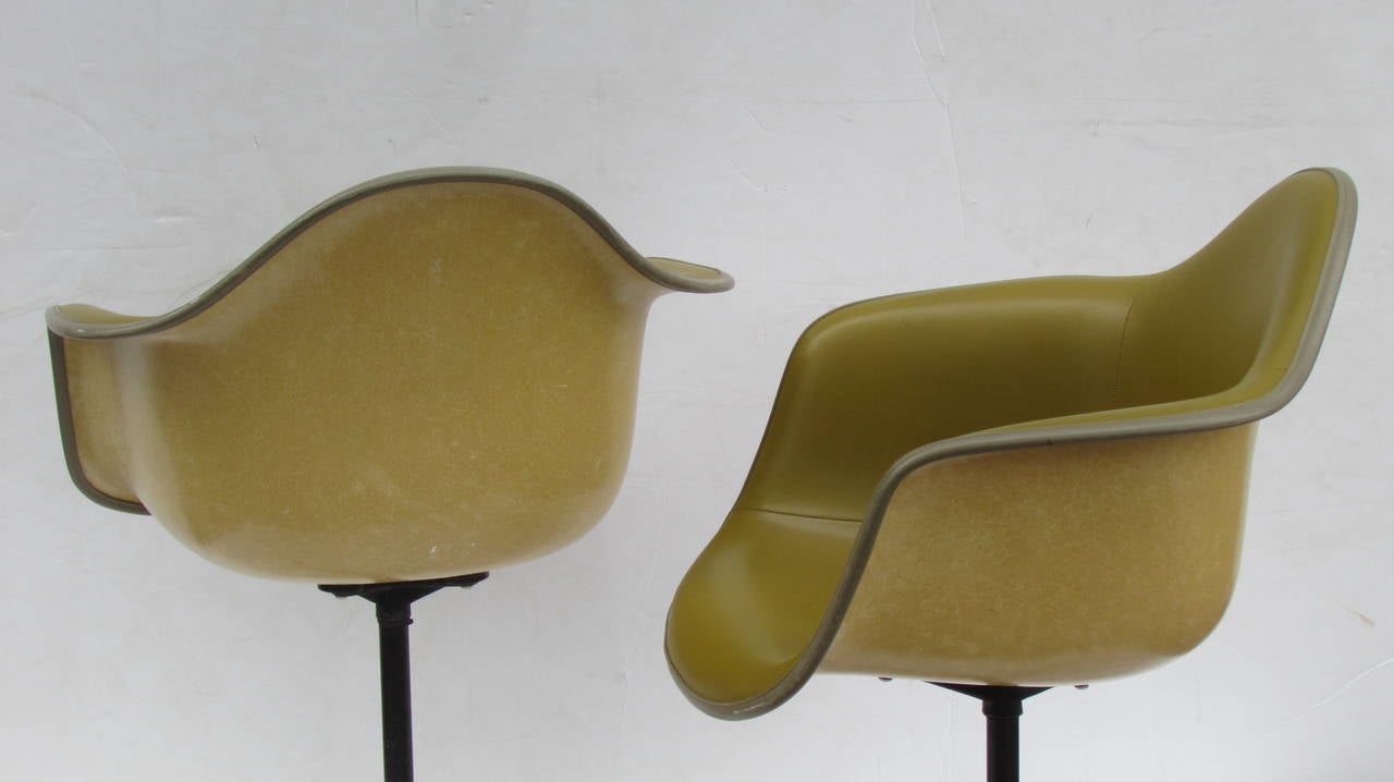 Molded Eames Bucket Swivel Chairs in Alexander Girard Olive Chartreuse Naugahyde